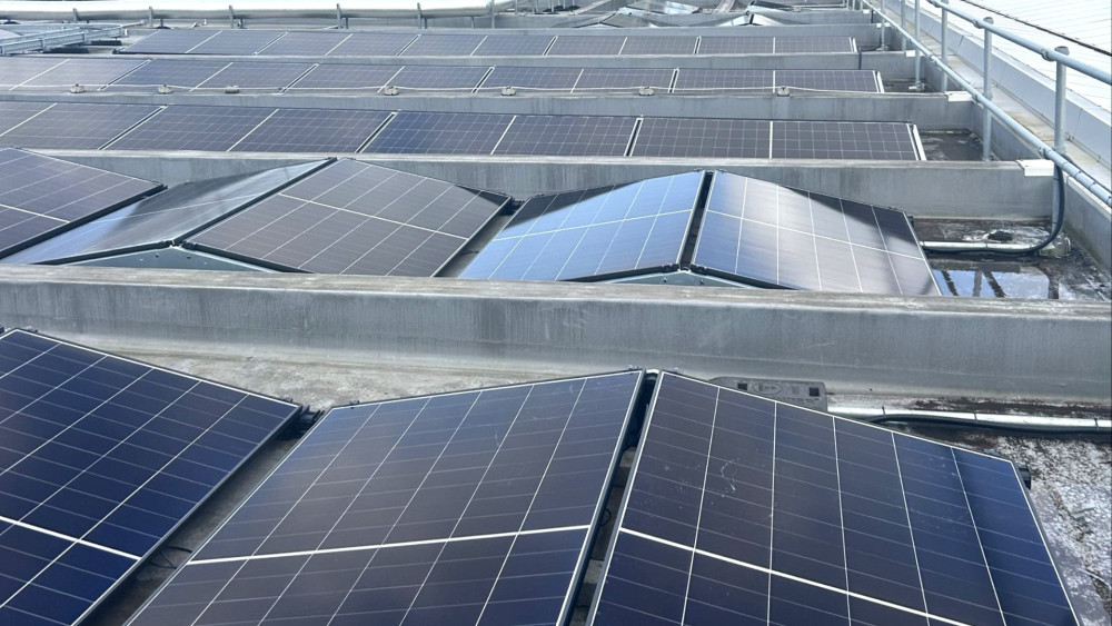 Trust saves cash on energy