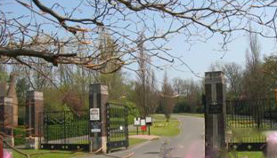 Bereaved families appalled at Criminal Damage