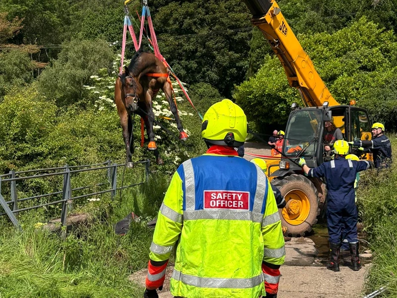 Horse rescued from bridge in the Moorlands
