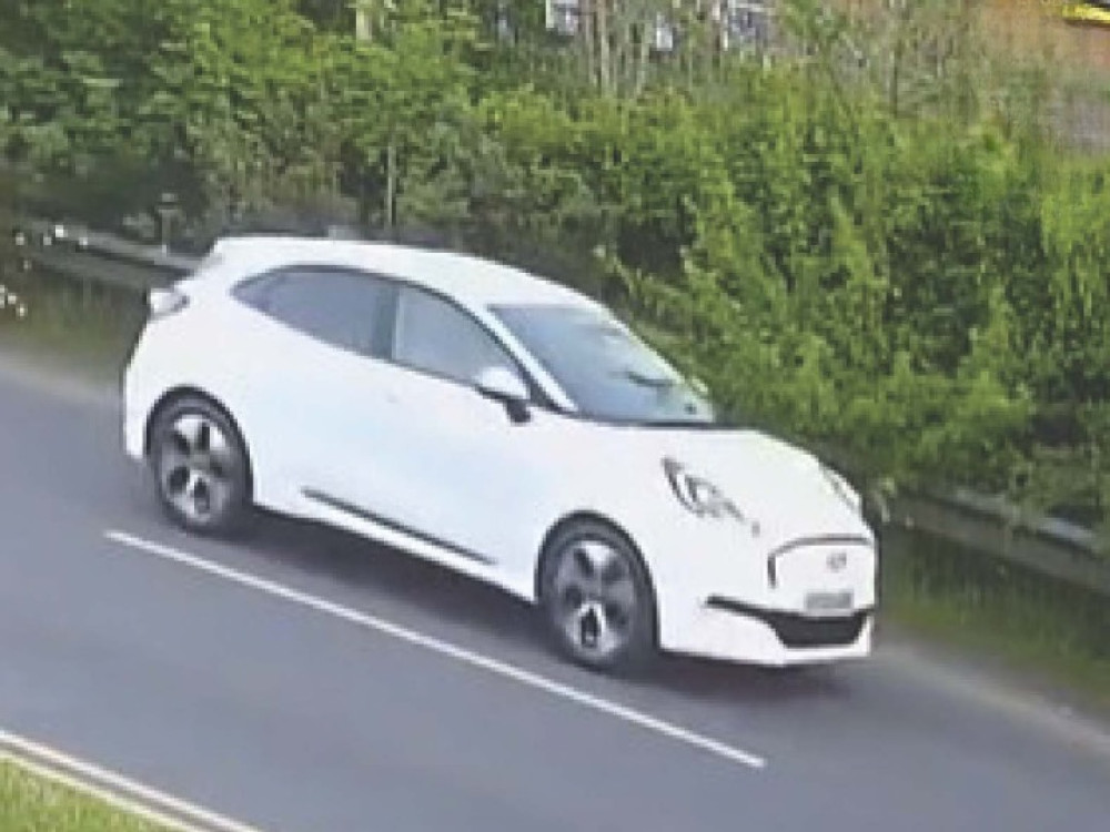 Appeal for witnesses to fatal crash