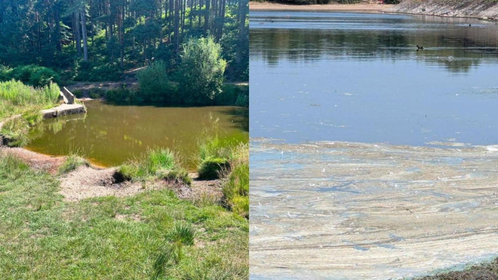 Blue Green Algae returns to area