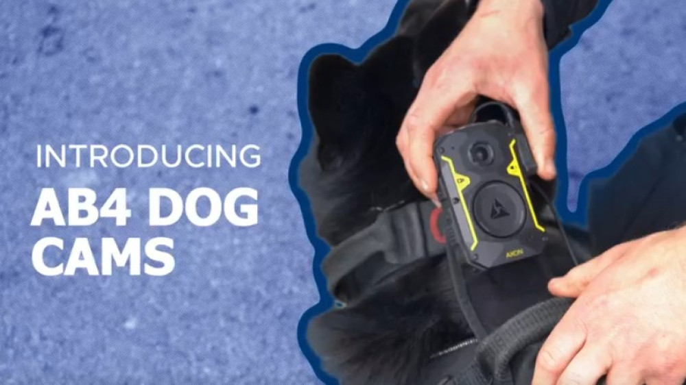 Body cams help support dogs and their handlers