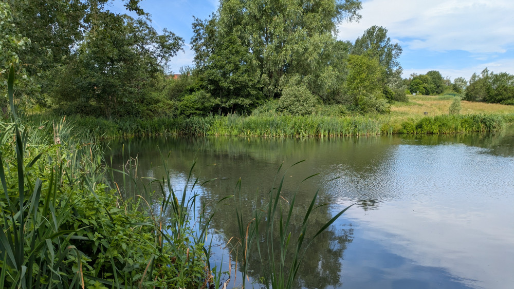 Nature restoration work to begin in the city