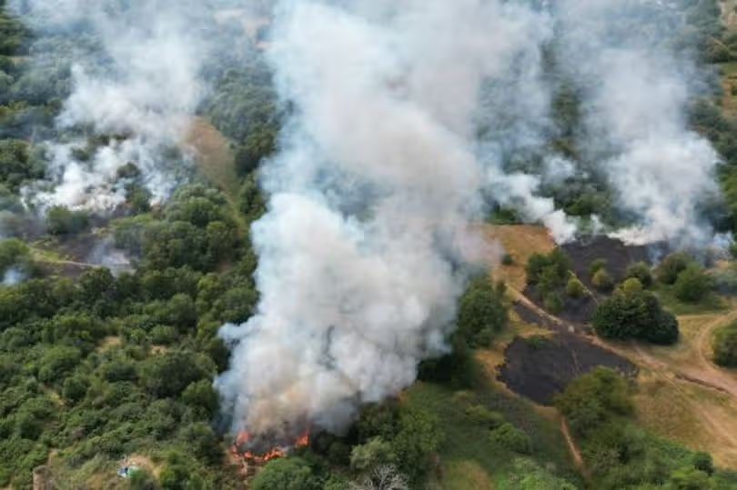 More fires at country park