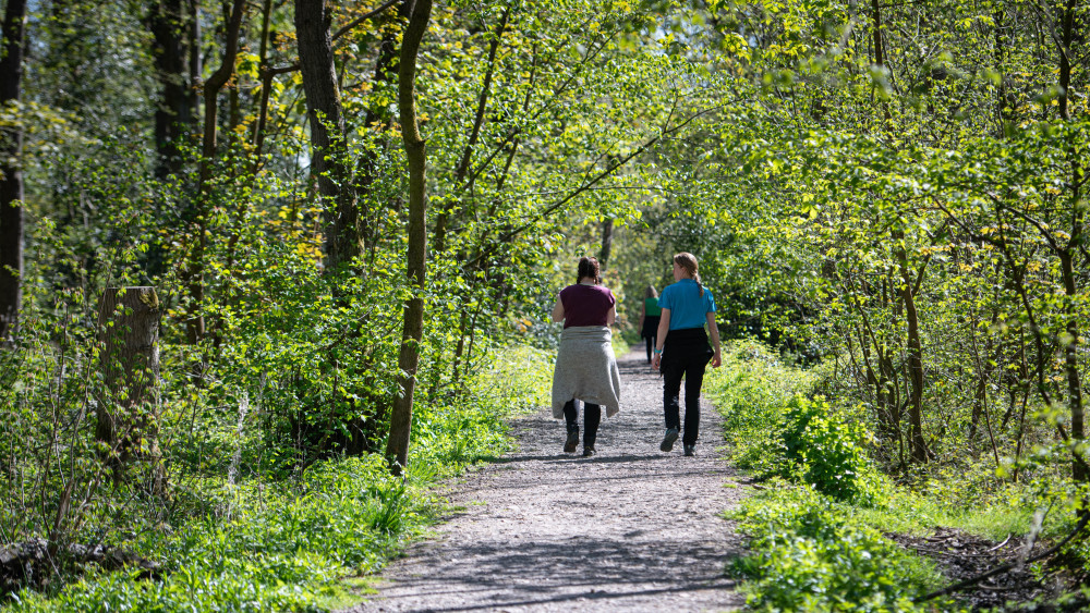 Woods revamped thanks to wildlife trust