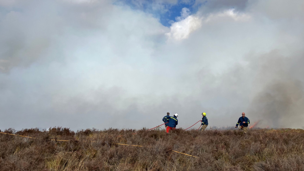 Councillors call on tougher measures for wildfires